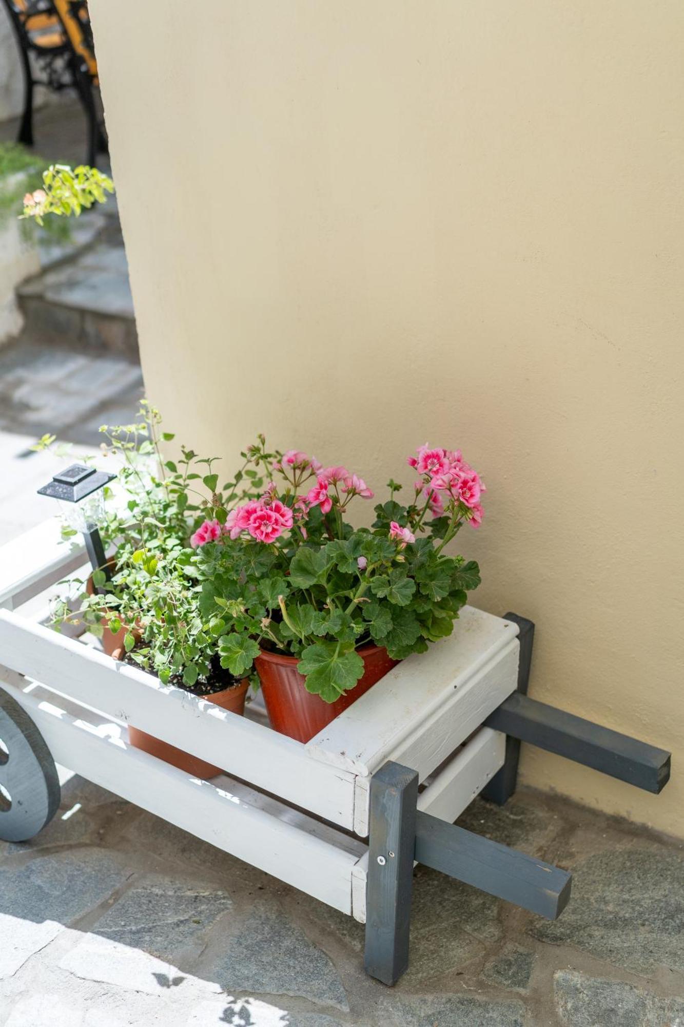 Spacious With Yard, Lesvos *
